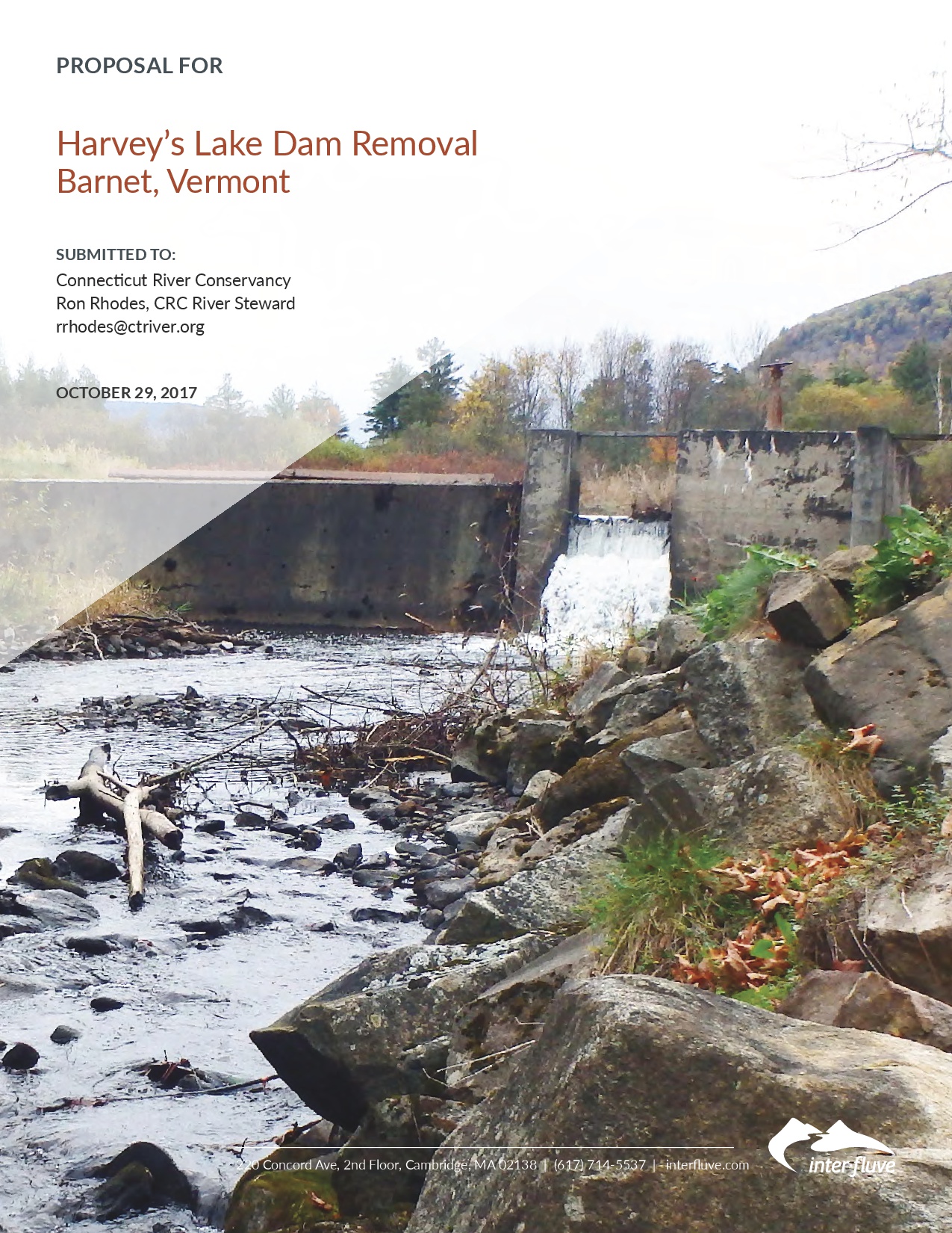 Dam Removal Report