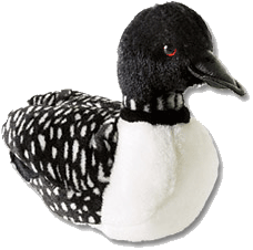 Loon plush on sale